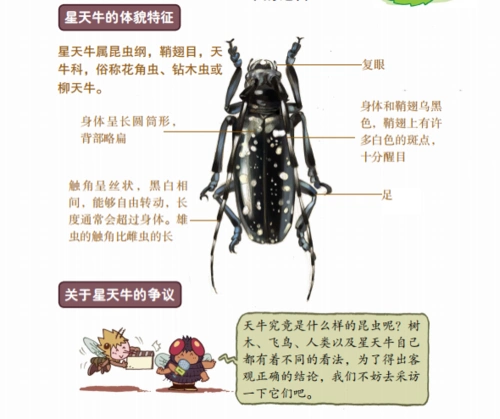 5893 酷虫学校 28 星天牛是害虫吗 倍速播放下载收听 04:36 2624