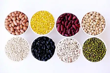 不同类型的豆子拼贴画.品种的豆类.顶部视图.特写.