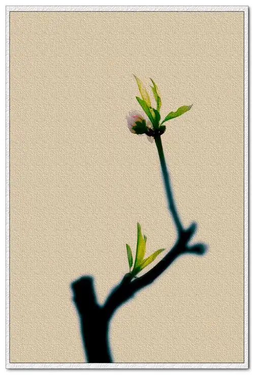 一组纯后期的片子--第一次试用光影魔术手的功能!你这样用过吗?