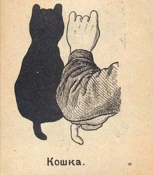 淮安市洪泽实验幼儿园"假期小课堂"——大班科学《手影游戏》