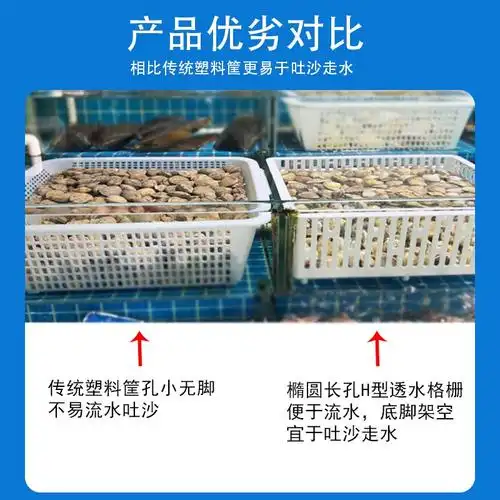 海鲜池鱼缸贝壳花蛤流水吐沙带脚塑料筐透水篮掉沙漏沙争渡花甲盒