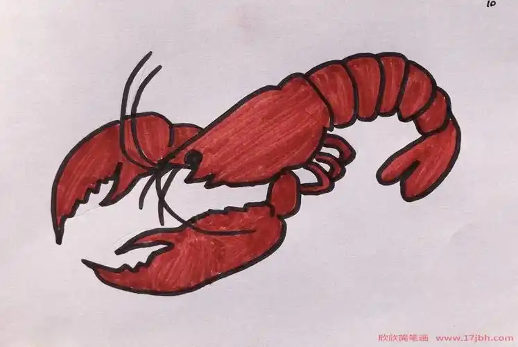 儿童简笔画大虾大虾怎么画
