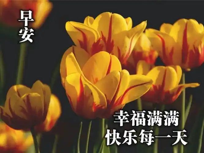 2021年早上好问候语温馨图片动态表情,清晨祝福语大全带字图片