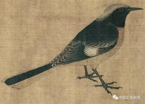 五代黄筌写生珍禽图高清赏析