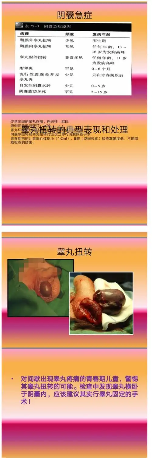 悲伤!人类睾丸可以吃吗"凤凰于飞"-第2张图片-克斯博客