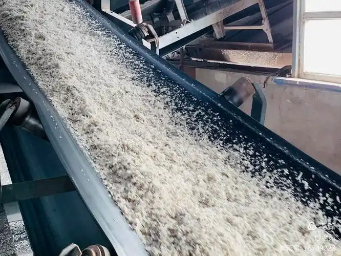 业务造甜产品甜味伽师白沙糖厂国内最大甜菜加工厂