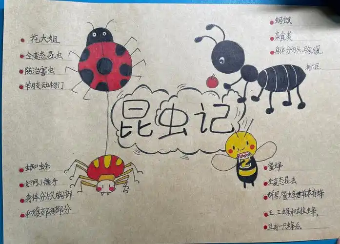 昆虫思维导图