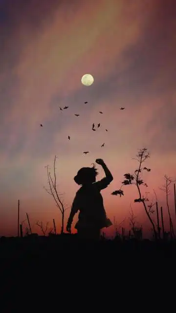 海边意境唯美背影写真