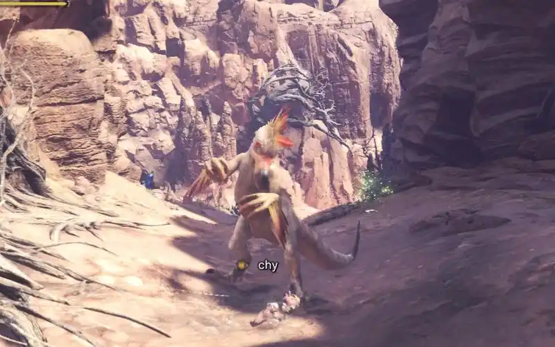 怪物猎人世界,第二次测试,盾斧狩猎新加入的boss——搔鸟,毒妖鸟