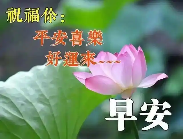 清晨早上好祝福语大全表情,早安心情好的句子表情图片