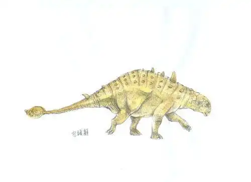 包头龙化石简笔画