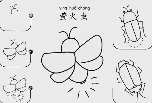萤火虫怎么画萤火虫怎么画简笔画