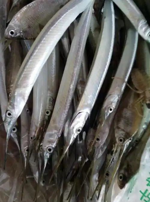 水这叫的尖淡个鱼尖嘴?