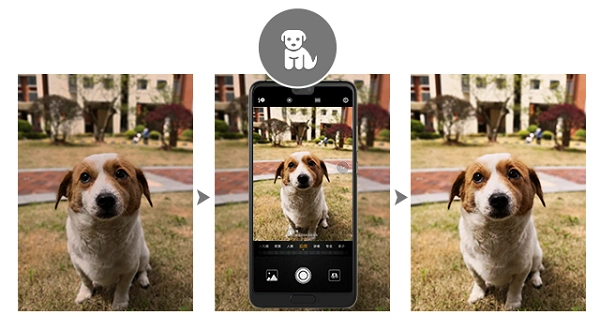 独家ai 慧眼识物拍照,华为p20/p20 pro让你的朋友圈燃起来