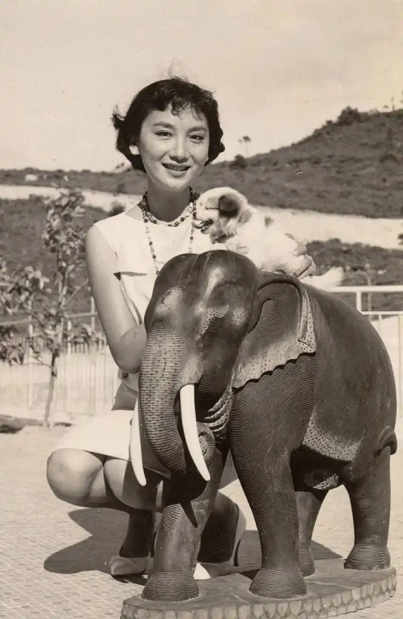 "大公主"夏梦年轻时多美?说出来你或许不信,但老照片不会说谎