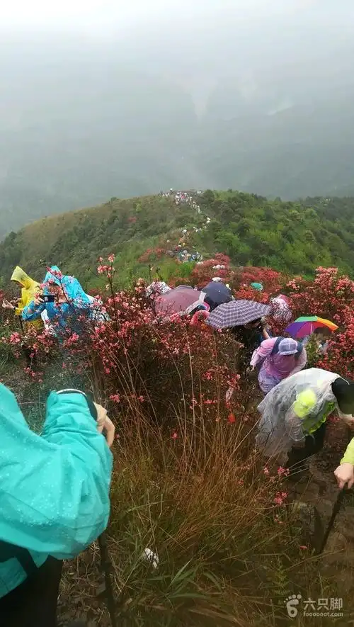 03.31从化通天蜡烛(海拔1038米)登顶环线20