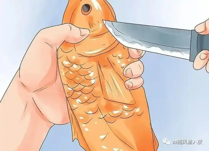 如何人道地杀鱼