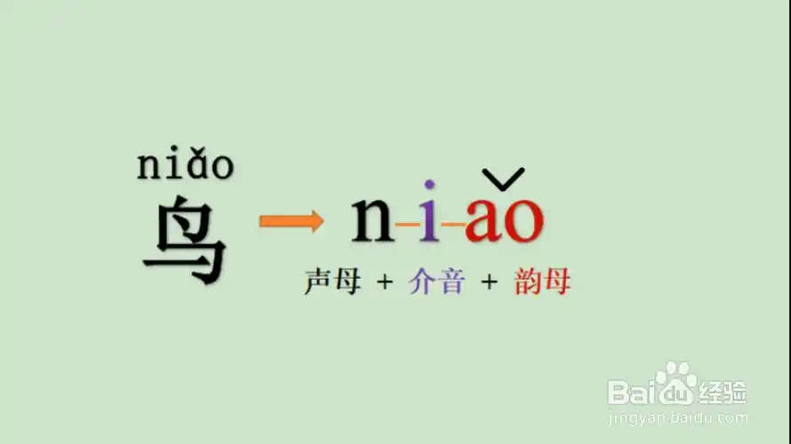 鸟的拼音怎么拼读