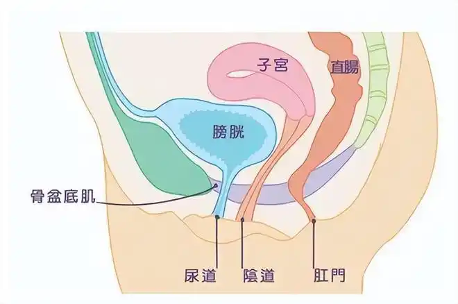 术后月经从尿道口流出