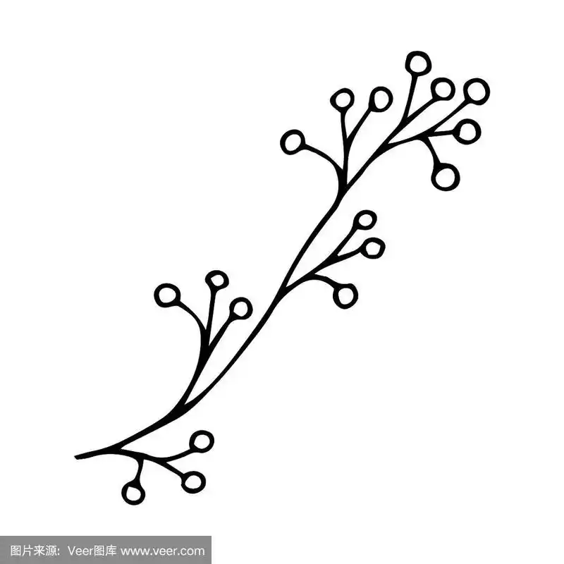 矢量涂鸦风格的元素,绘图,可爱的小树枝与浆果,着色书