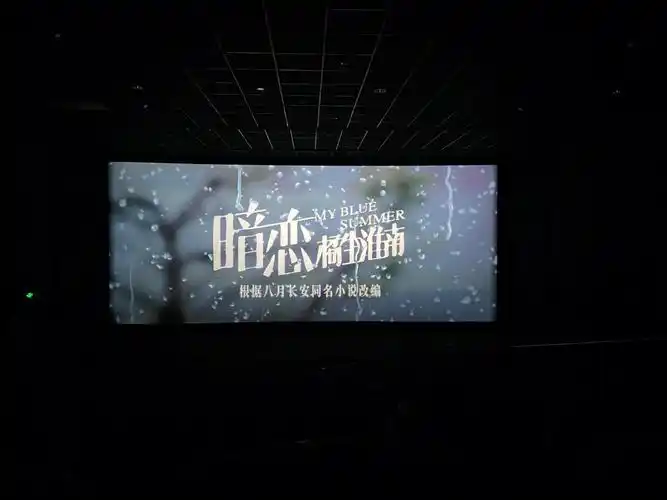 这也是我一个人的电影一个人的思念