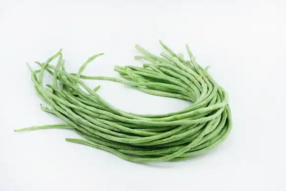 长豆角图片下载-长豆角设计素材-长豆角图片大全-千图网