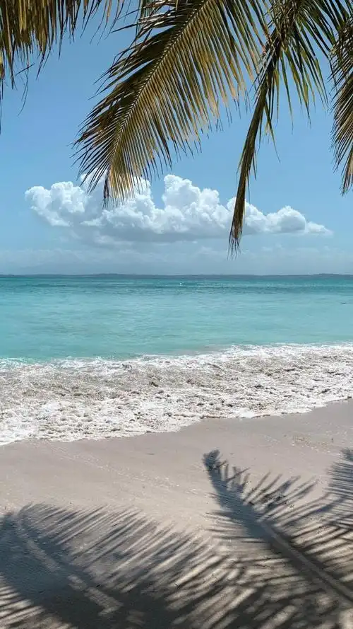 1024_1820竖版 竖屏