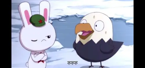 那年那兔那些事儿