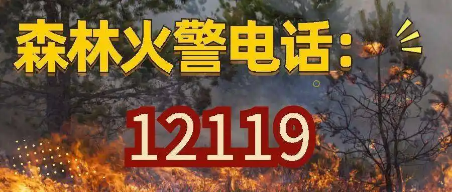 严防山火云浮市森防办严禁野外违规用火筑牢森林防火屏障