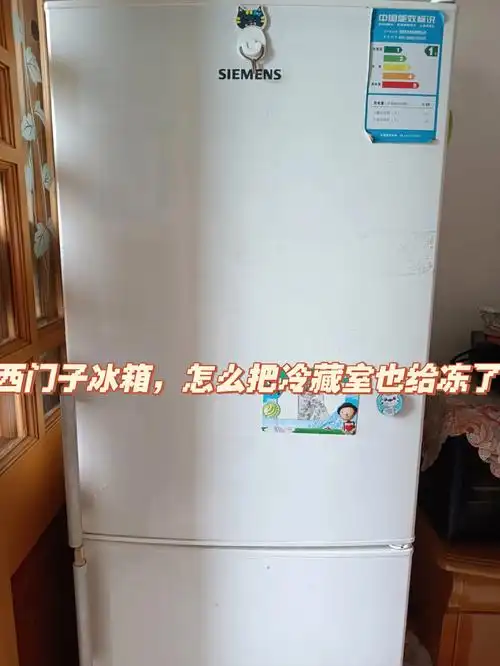 西门子冰箱冷藏室干了冷冻室的活