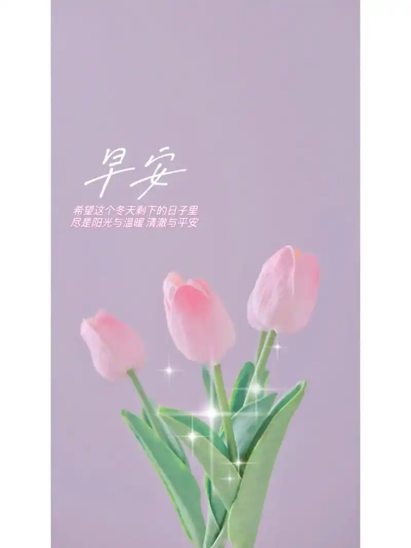 早安文案|朋友圈文案|早安美图 学习向日葵 哪里有阳