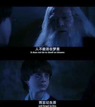 《哈利波特之魔法石》人不能活在梦里而忘记生活电影 截图 句子