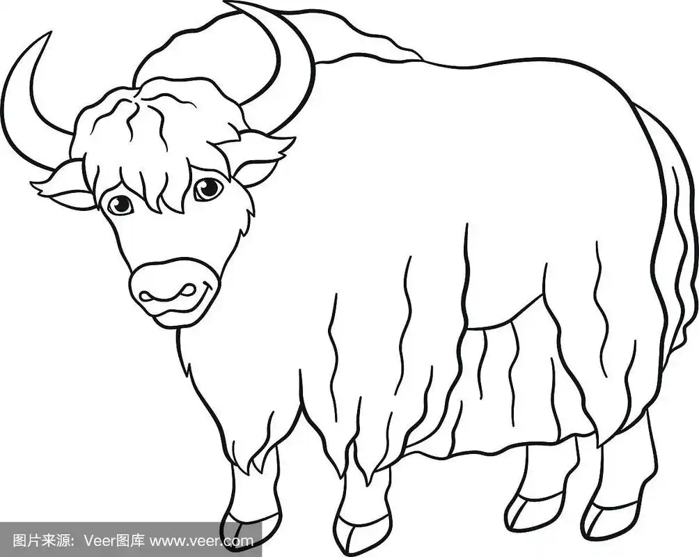 着色页面.可爱美丽的牦牛微笑.