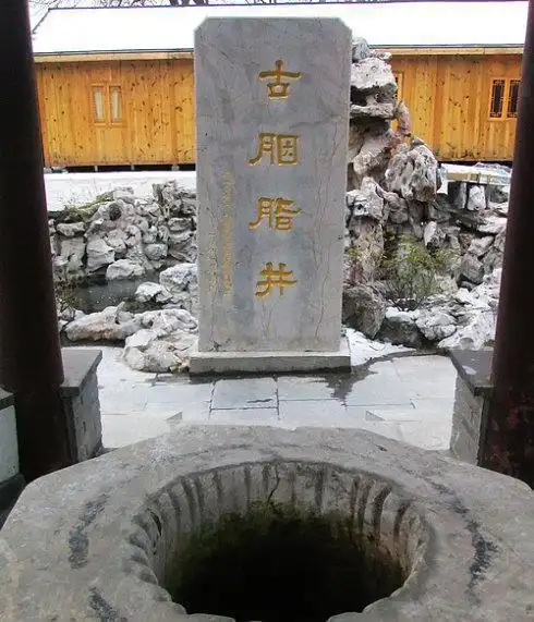 陈后主临朝理政也要抱着这位美人她是谁