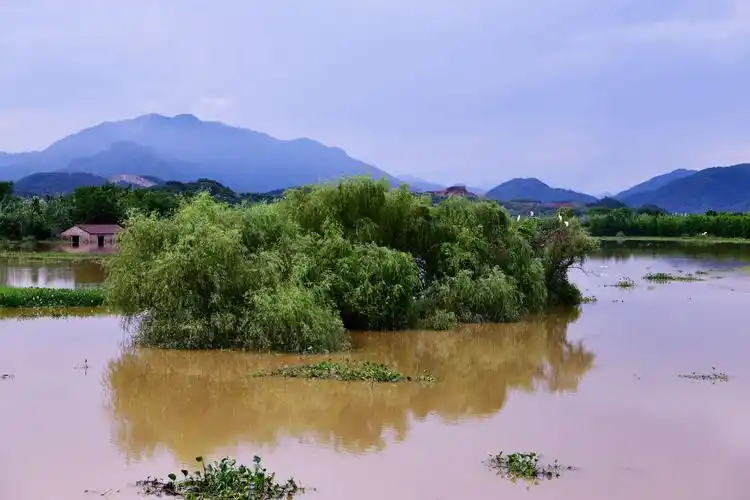 汛期的兰江水域