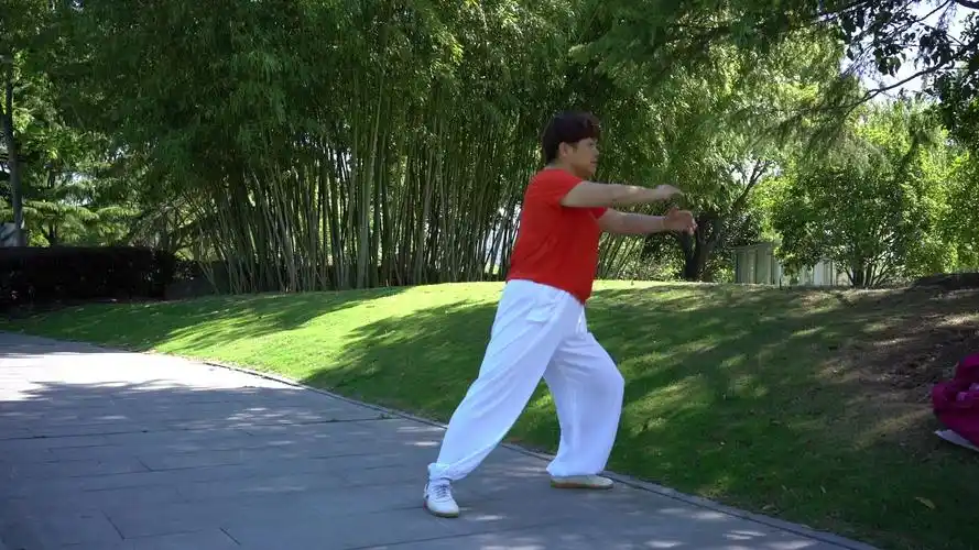 【片段】杨氏85式太极拳