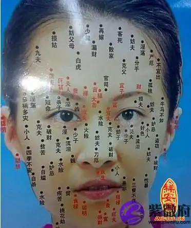 鼻痣相图解大全