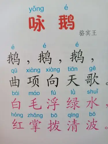 国学  古诗 《咏鹅》         唐 骆宾王 鹅   鹅   鹅 , 曲项向天歌.