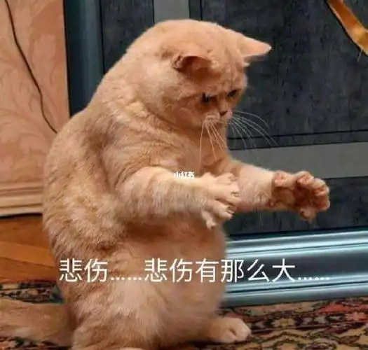 心情就像过山车90