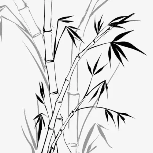 竹子的画法简笔画铅笔画手绘