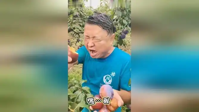 黑布林大李子到底甜不甜甜很甜