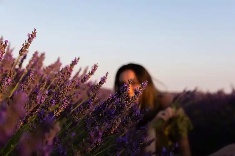 一个白人女孩,穿着黄色连衣裙,披着头发,手里拿着一束薰衣草花.