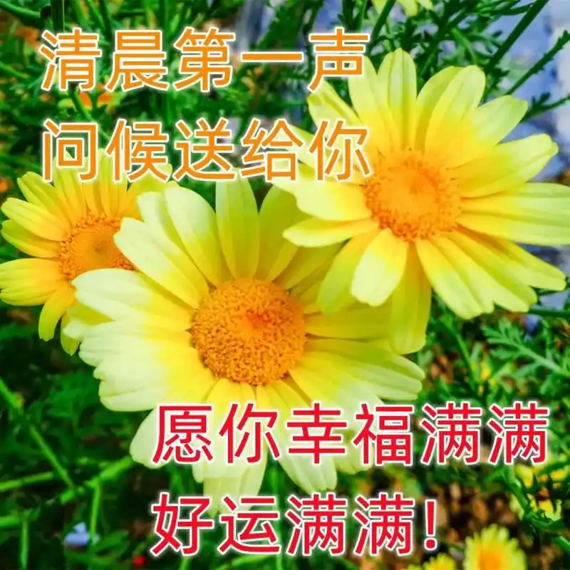 清晨最好的问候句子:早上好,愿你今天的行程比昨天更加辉煌