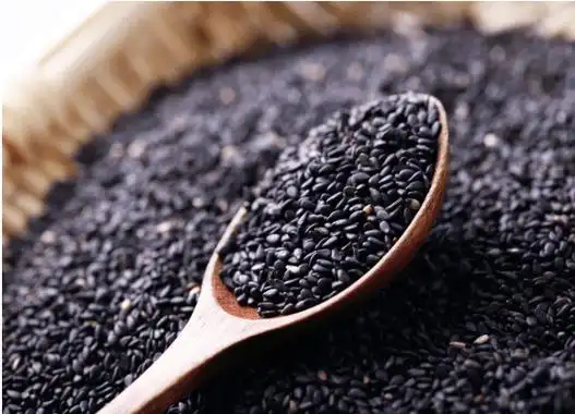 芝麻的高清大图鉴赏芝麻图片大全