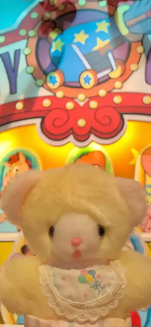 壁纸小众全面屏壁纸