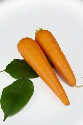 两根胡萝卜