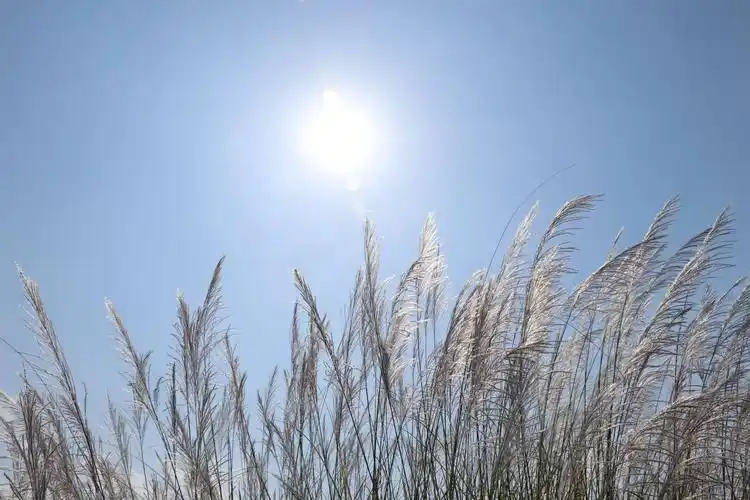 在这晴空万里,艳阳高照的日子里,我们不负皇天不负卿.