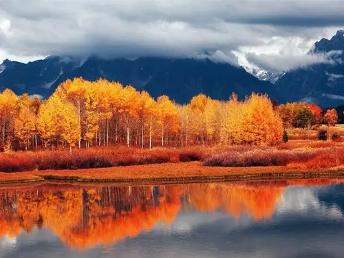 描述: 秋季-自然风景壁纸 当前壁纸尺寸: 1200 x 900