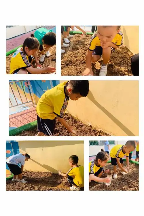 丰富多彩的幼儿园生活