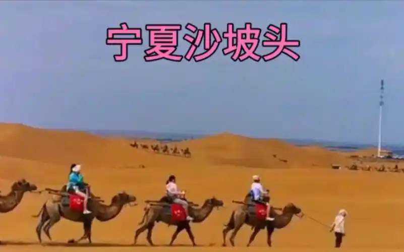 宁夏回族自治区中卫市城区西部腾格里沙漠中卫市沙坡头旅游景区